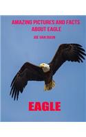 Eagle: Amazing Pictures and Facts about Eagle