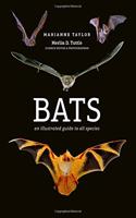 Bats