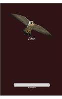 Falcon