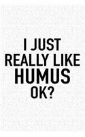 I Just Really Like Humus Ok?