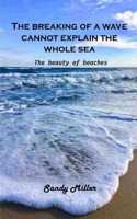 breaking of a wave cannot explain the whole sea: The beauty of beaches