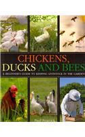 Chickens, Ducks and Bees