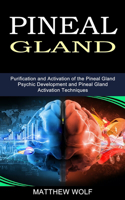 Pineal Gland