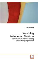 Watching Indonesian Sinetron