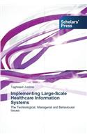 Implementing Large-Scale Healthcare Information Systems