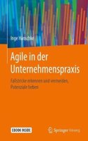 Agile in der Unternehmenspraxis: Fallstricke erkennen und vermeiden, Potenziale heben