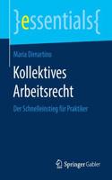 Kollektives Arbeitsrecht: Der Schnelleinstieg Für Praktiker