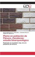 Plomo en población de Pánuco, Zacatecas