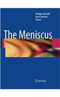 The Meniscus