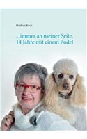...immer an meiner Seite: 14 Jahre mit einem Pudel - Danke für die schöne Zeit!