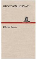 Kleine Prosa