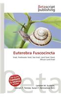 Euterebra Fuscocincta: (English)