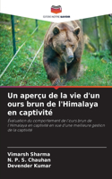 aperçu de la vie d'un ours brun de l'Himalaya en captivité