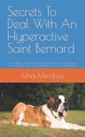 Secrets To Deal With An Hyperactive Saint Bernard