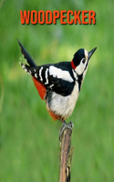 Woodpecker