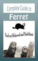 Complete Guide to Ferret