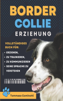 BORDER COLLIE Erziehung