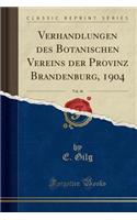 Verhandlungen Des Botanischen Vereins Der Provinz Brandenburg, 1904, Vol. 46 (Classic Reprint)