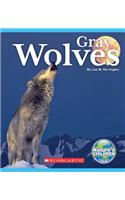 Gray Wolves (Nature's Children)