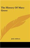 The History Of Mary Grove