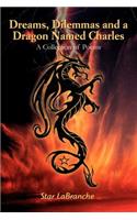 Dreams, Dilemmas and a Dragon Named Charles