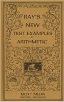 Ray's New Test Examples in Arithmetic