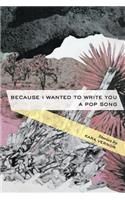 Because I Wanted to Write You a Pop Song