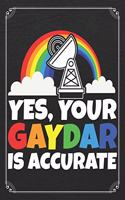 Yes, Your Gaydar Is Accurate