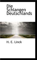 Die Schlangen Deutschlands