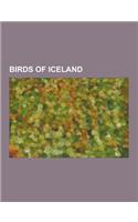 Birds of Iceland: Ortolan Bunting, Mandarin Duck, Red-Throated Loon, Mallard, Black-Browed Albatross, Northern Pintail, Canada Goose, Li