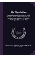 Glass Ceiling: Hearing Before the Committee on Small Business, House of Representatives, One Hundred Third Congress, First Session, Washington, DC, June 24, 1993