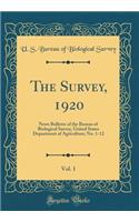 The Survey, 1920, Vol. 1