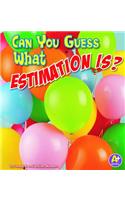 Can You Guess What Estimation Is?