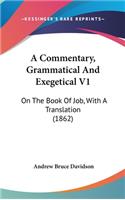A Commentary, Grammatical and Exegetical V1