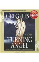Turning Angel