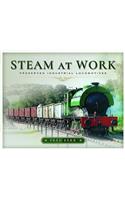 Steam at Work: Preserved Industrial Locomotives