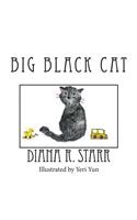 Big Black Cat