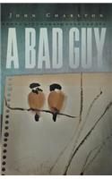 A Bad Guy