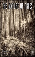 Nature of Trees, The — Photography by Paul Kozal Wall Calendar 2022