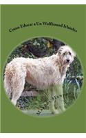 Como Educar a Un Wolfhound Irlandes