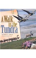 A Walk in the Tundra