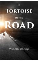 Tortoise in the Road