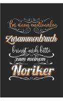 Bei einem Emotionalen Zusammenbruch Bringt Mich Bitte Zu Meinem Noriker: Modellflug & Modellflieger Notizbuch 6'x9' Karo Geschenk für Flugzeug & Pilot