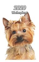 2020 Wochenplaner: Yorkshire Terrier - 107 Seiten, 15cm x 23cm ca. A5 - Taschenkalender - Terminplaner - Tagebuch - Terminkalender - Organizer für Hundeliebhaber