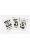Harry Potter: Wanted Posters Pocket Journal Collection: Set of 3(Harry Potter)