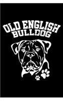 Old English Bulldog