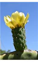 Yellow Cactus Bloom in the Desert Journal: Take Notes, Write Down Memories in this 150 Page Lined Journal