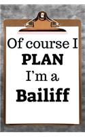 Of Course I Plan I'm a Bailiff