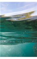 Scuba Diving: Underwater Diver 2019 Organizer Daily Weekly & Monthly Calendar Planner