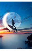Dolphin Notebook